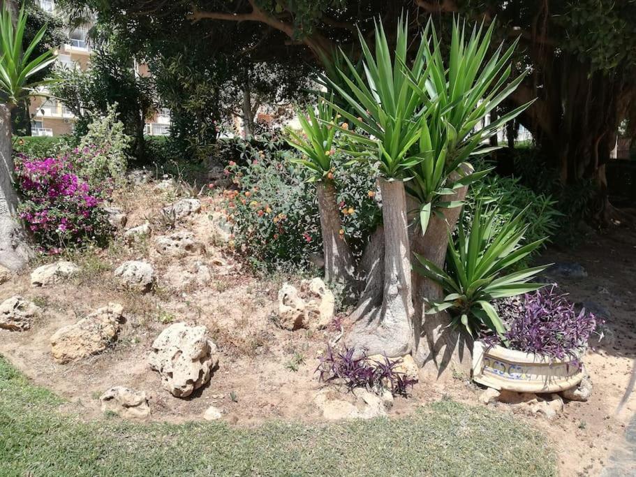בנאלמדנה Acogedor,Apartamento.Piscina, Vistas, Terraza מראה חיצוני תמונה
